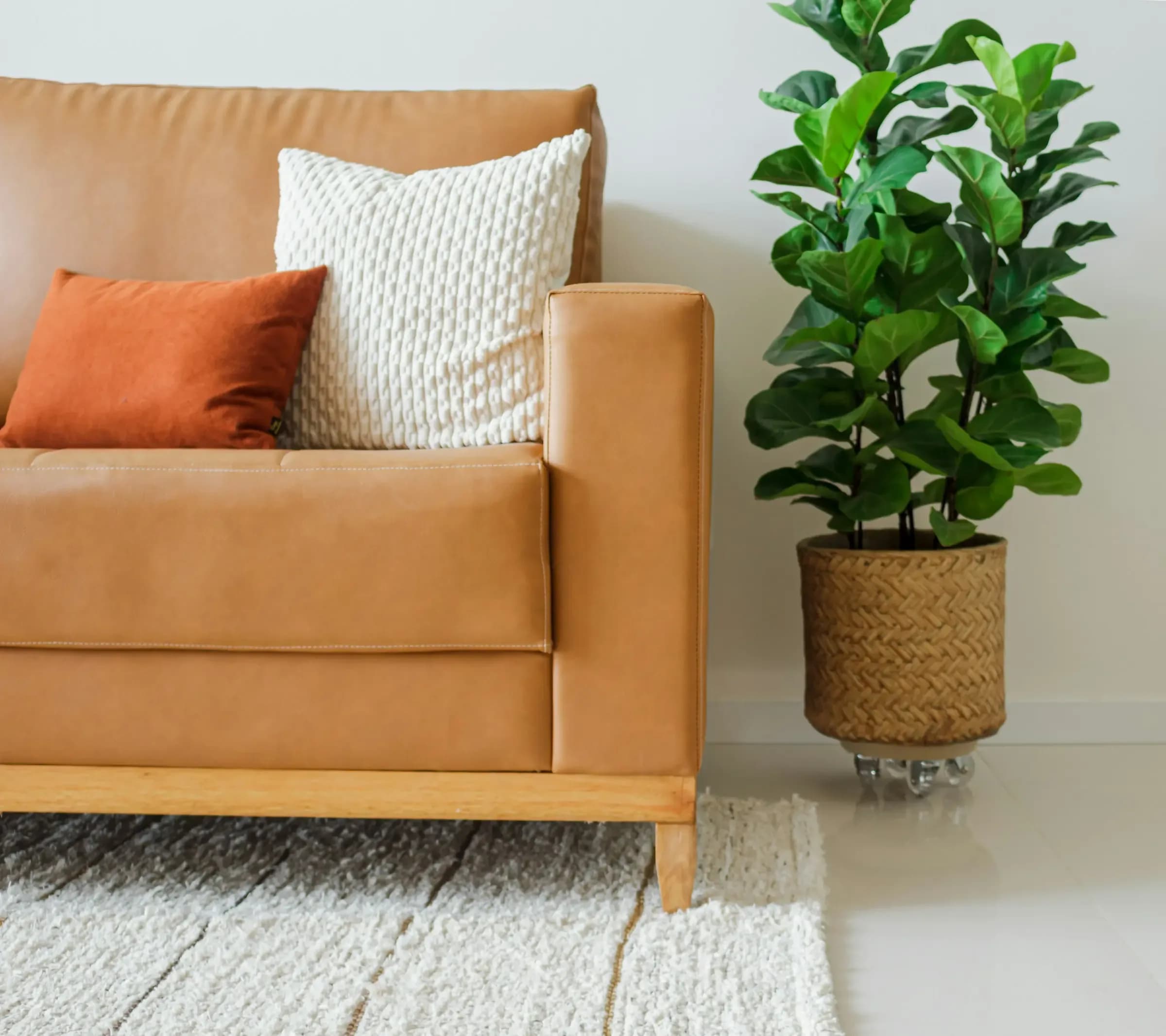 Indoor Furniture