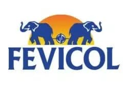 Fevicol