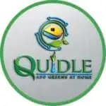 Quidle
